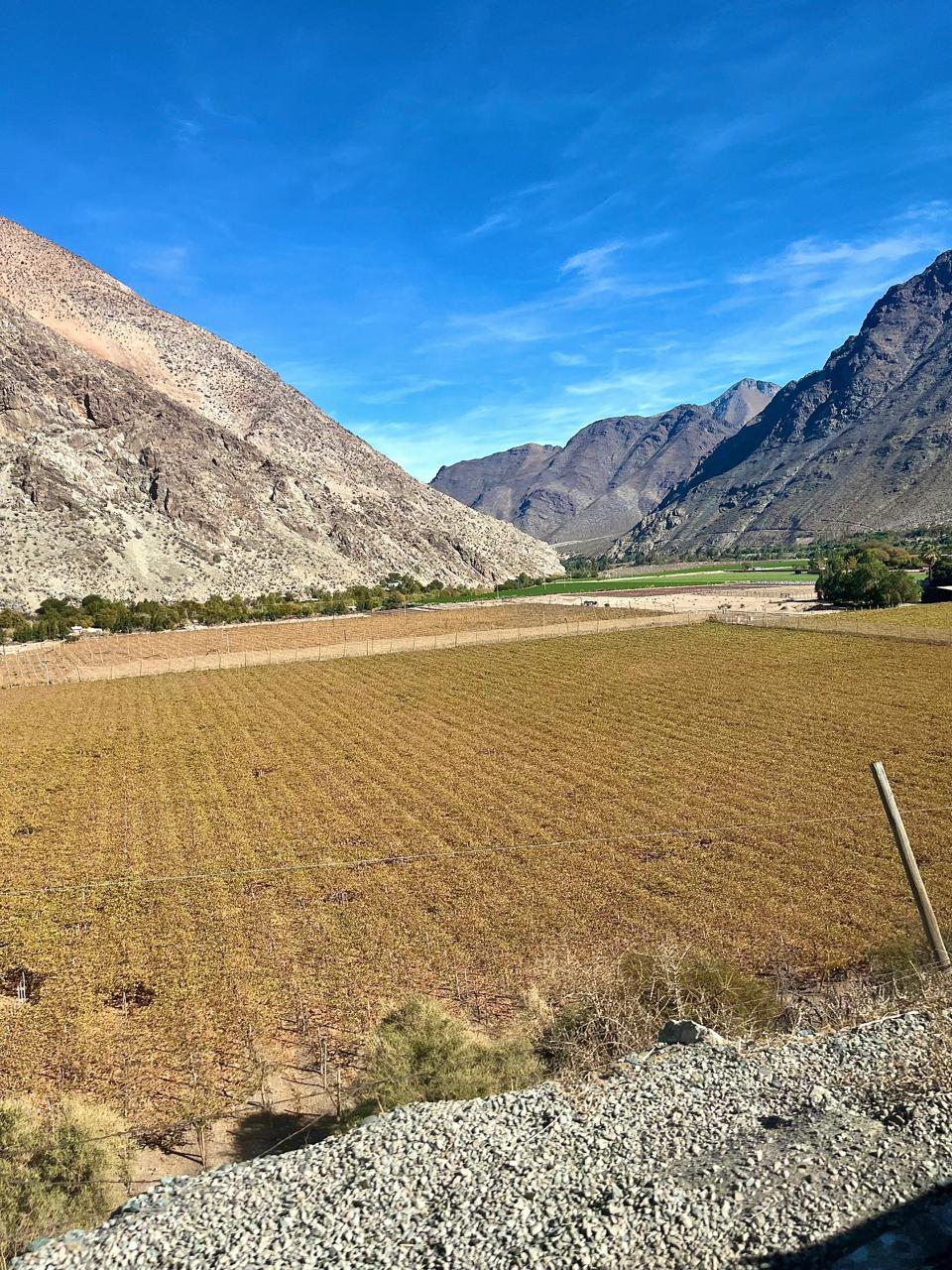 Valle del Elqui