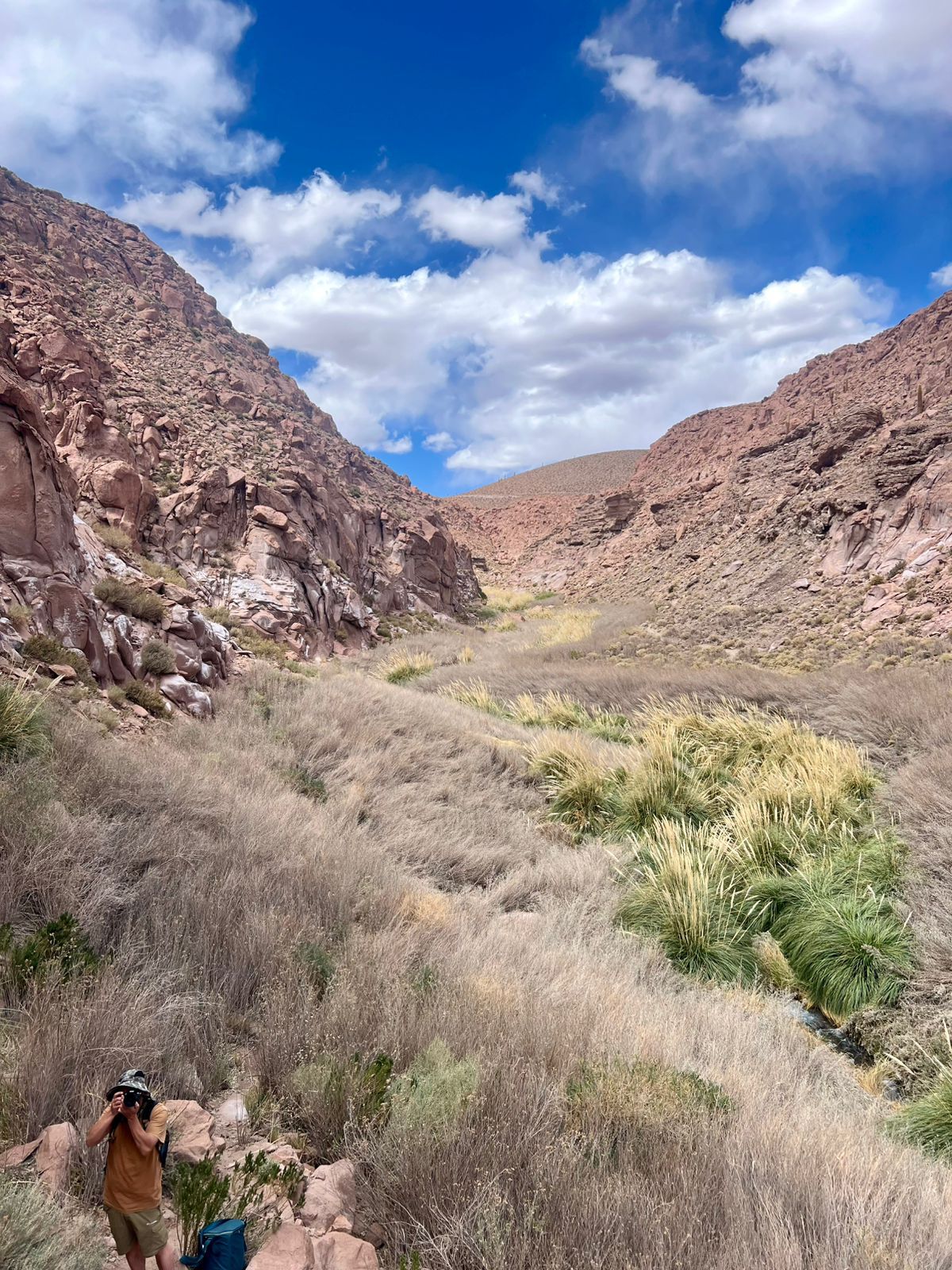 Trekking Purilibre AM - PM - Imagen 4